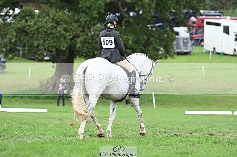 231020-155221-11296 - 509-WOODLANDS.SILVER.CLOUD-Karen.Cowling-DR