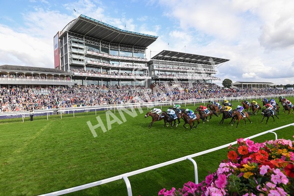 240823-Race 6-Gushing Gold-0703 - Race 6 4.45pm Or8Wellness EBF Stallions Nursery Handicap