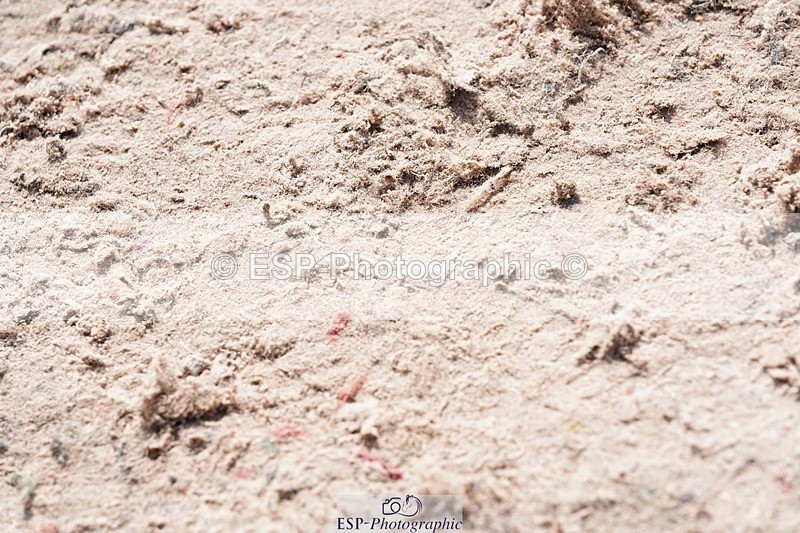 250425-111048-08591 - Cls 38 Amateur Tour