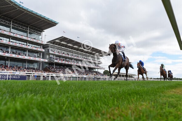 yr17082022r3-30 - Race 3 3.00pm Sky Bet Great Voltigeur Stakes