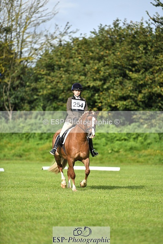 230826-091326-15057 - Sections C & D 9 to 10am