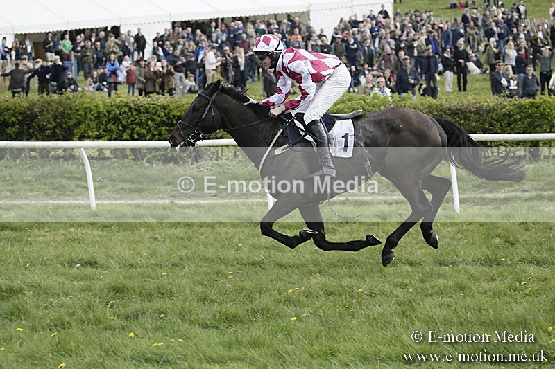 PtP 170417 372 - Old Berks Point-to-Point Lockinge 17/04/17