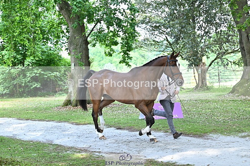 250521A-151121-00325 - B-303-Alexander.Bragg-SHANNONDALE.ALDO