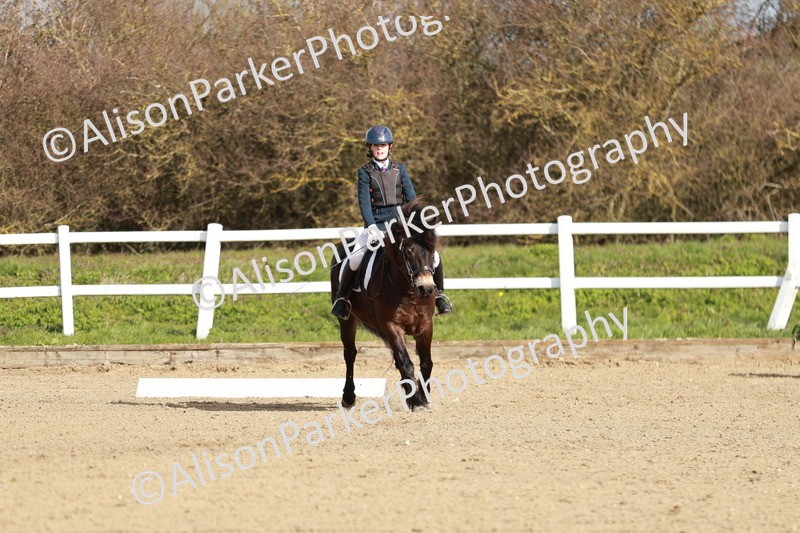 20260314-1077 - DR2 - Intro 3