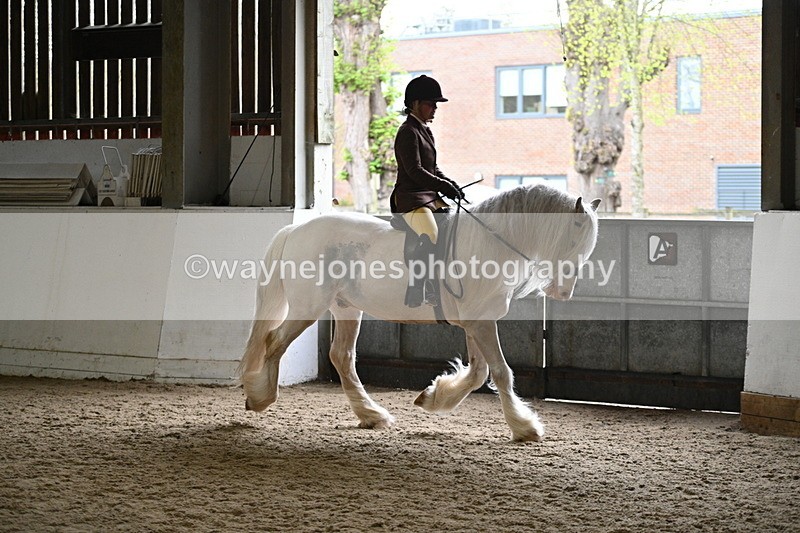 WJ7_3767 - Class 17 Ridden Cob