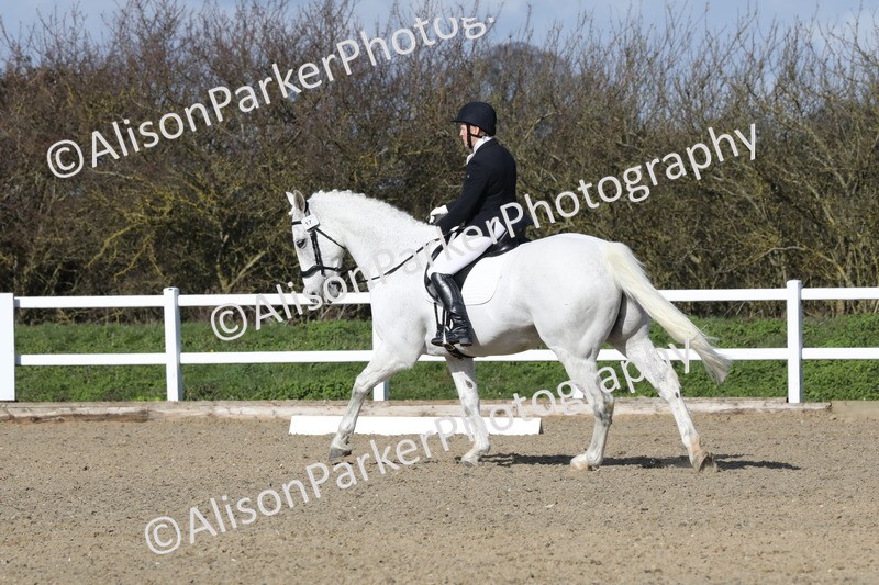 20260314-4899 - CT6 - Elementary 1