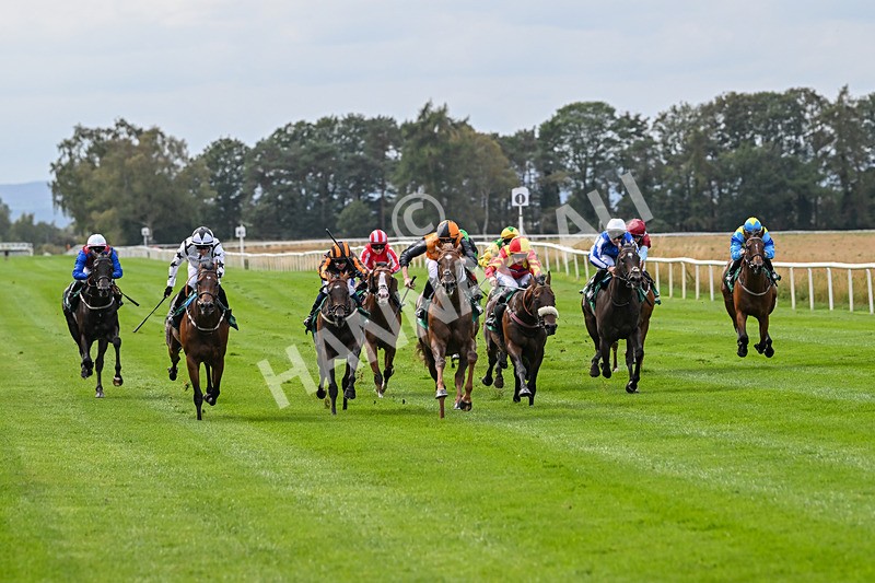 060925-Race 2-Dazzling Haze-4642 - Race 2