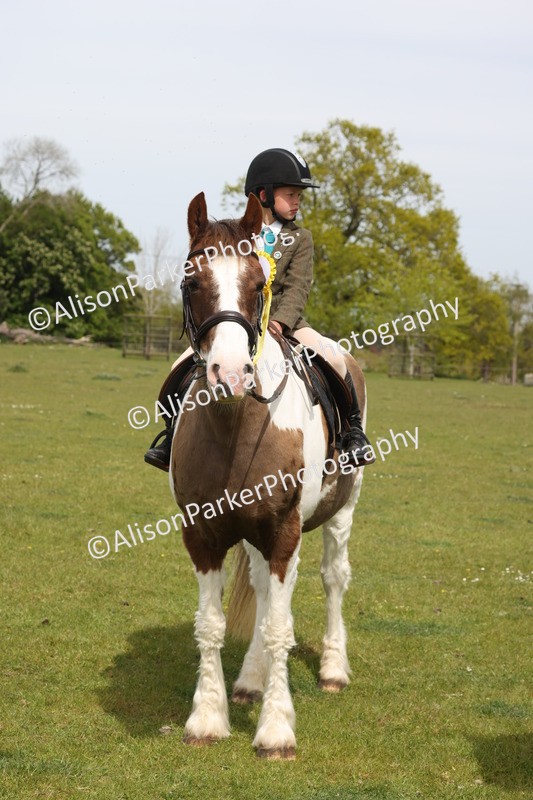 20260426-4432 - Class 34 - Best Riding Horse Over 14.2hh