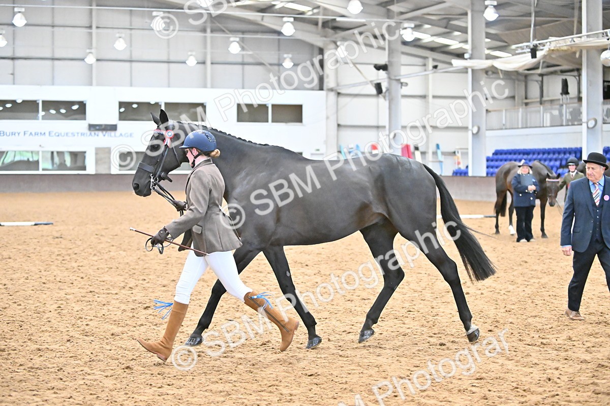 SBM_000769 - Class 16 - In Hand Showing Supreme Championships