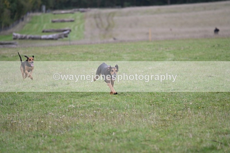 WJ6_0251 - Camera 2 Line 1