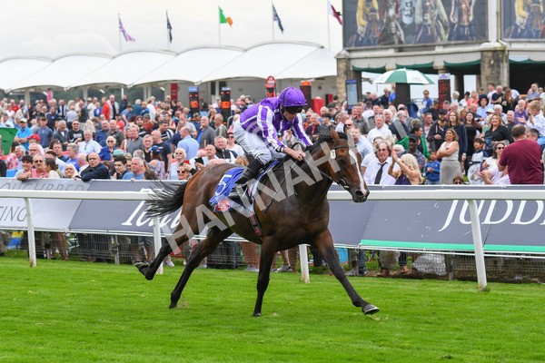 230823-Race 3-Continuous-0465 - Race 3 3.00pm Sky Bet Great Voltigeur Stakes