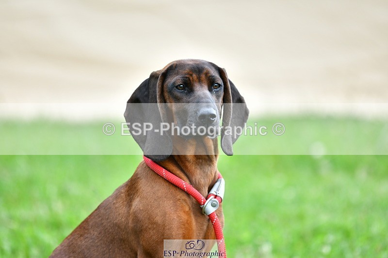 230720A-143040-03544 - Cls 9, 2 Star Big 1.40m Start to break