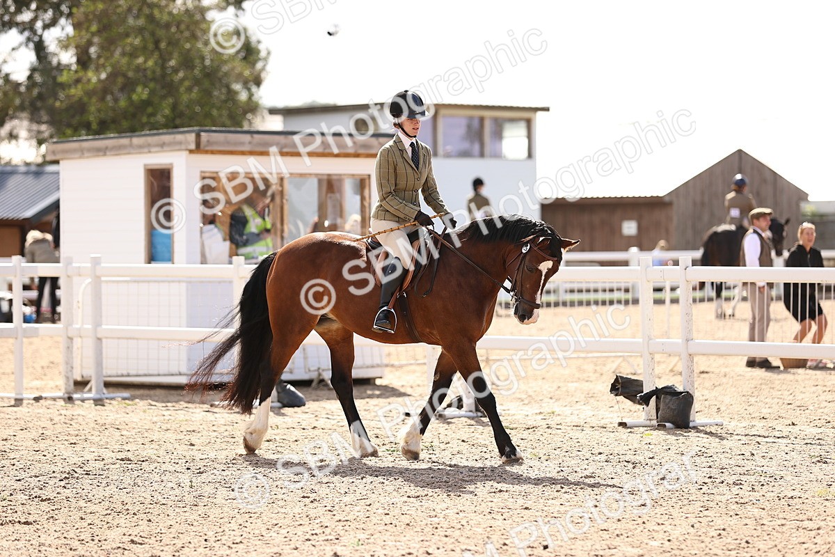 SBM_11626 - Class 408 - Grassroots Ridden - Walk & Trot