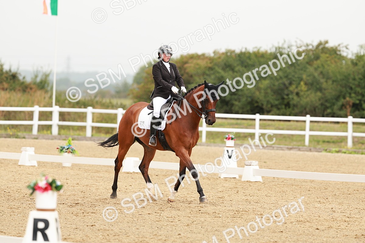 SBM_009297 - Class 12 - Elementary 6 - 10.50-11.50