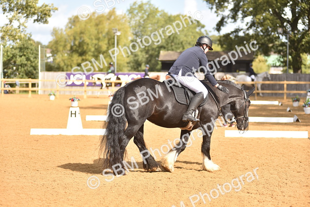 SBM_03042 - D4 - Small Tour Championship Intro 4