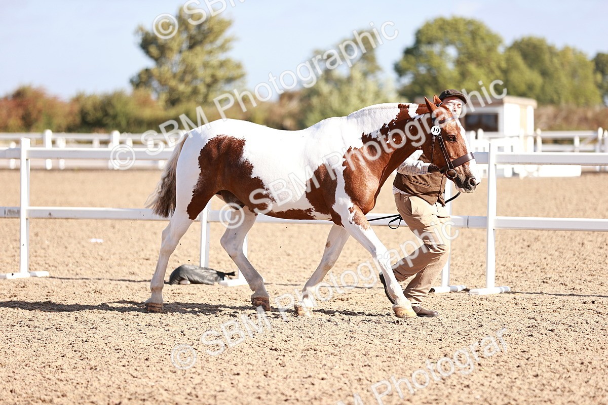SBM_22063 - Class 703 - IH Coloured