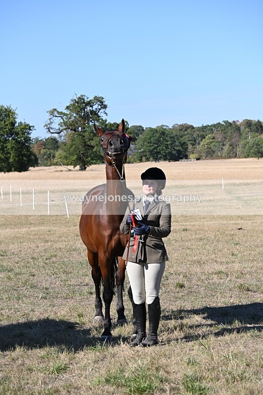 WJ6_9666 - Championship (Class's 40-44)