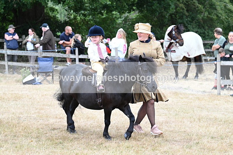 WJ7_8495 - Class 4 Prettiest Mare up to 14.2hh