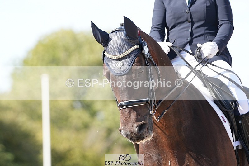 250906-152732-04776 - 110-Chelsea.DonovanFrankie.zenturio