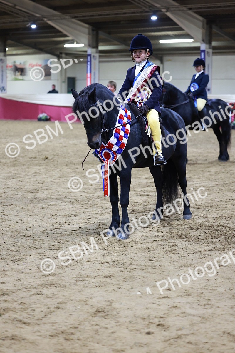 SBM_21390 - Class T - Working Veteran Champs