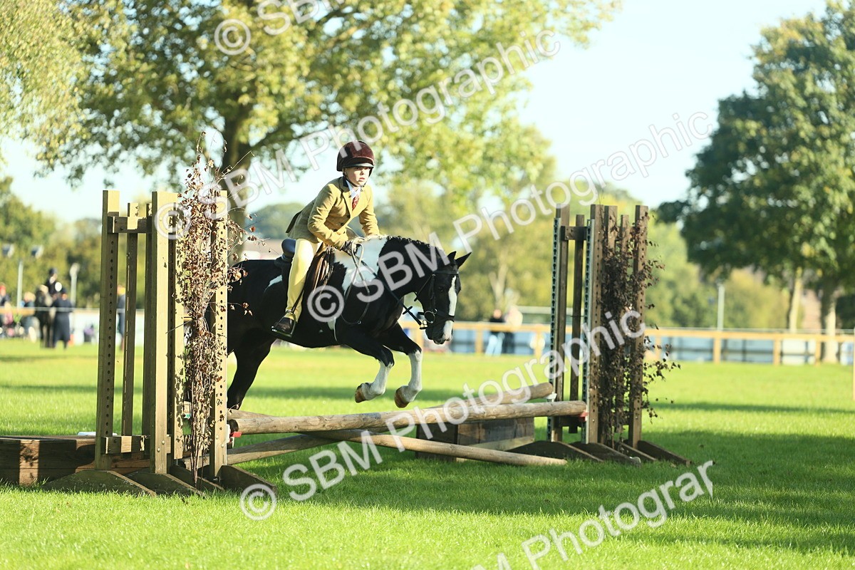 SBM_36397 - S29 - Novice & Newcomers Working Hunter Pony
