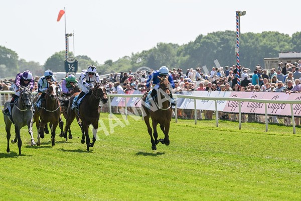 160525-Race 1-Secret Hideaway-6069 - Race 1 2.10pm Clipper EBF Marygate Fillies' Stakes
