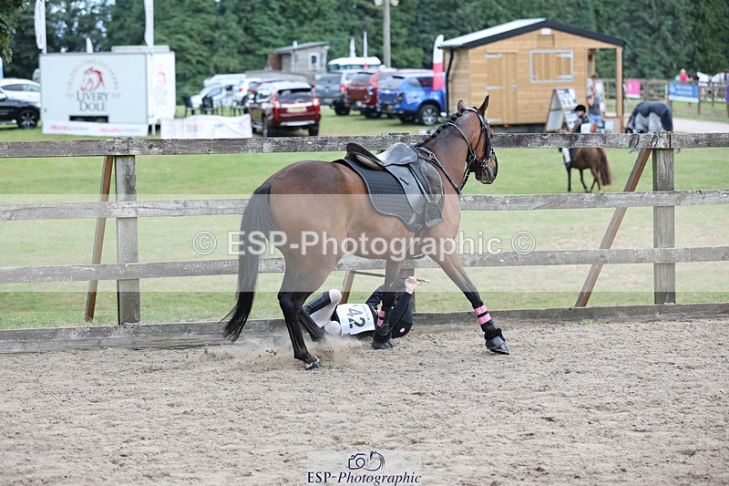 240822X-155316-12982 - 40cm A R1 15.53 to 16.48