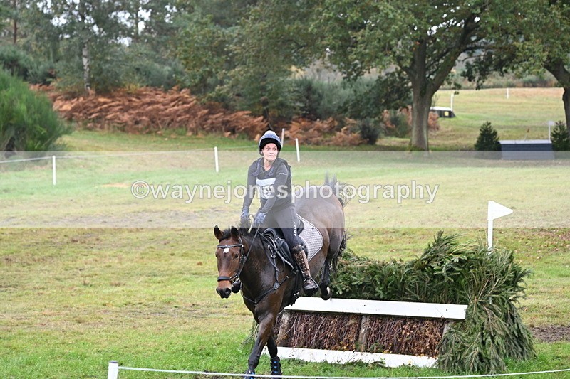 WJ6_2702 - 80cm Cam 1 Time 11:23 to 12:04