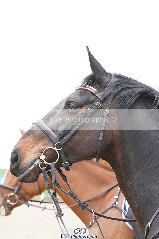 250414-143020-01149 - 1.10m Round 2