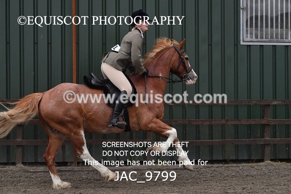 JAC_9799 - CLASS 2 Novice Working Hunter (0.60m - 0.70m)
