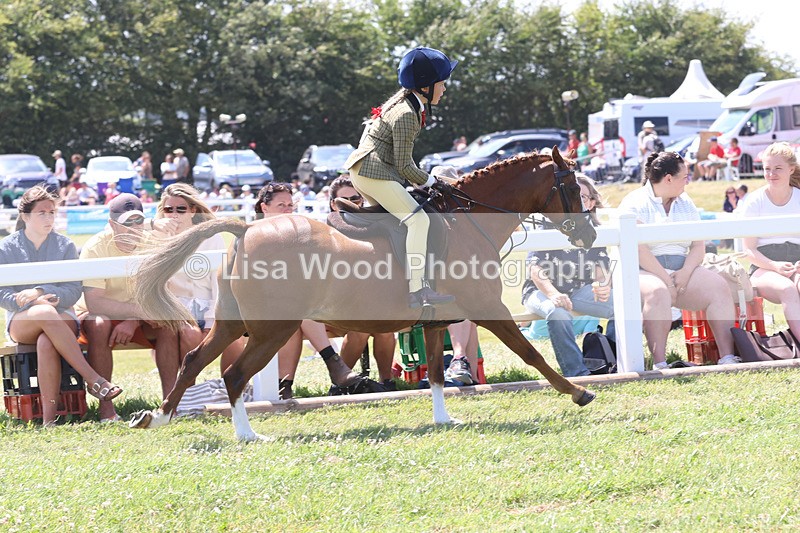 JPP_2759 - Class 21: Working Hunter 60cm