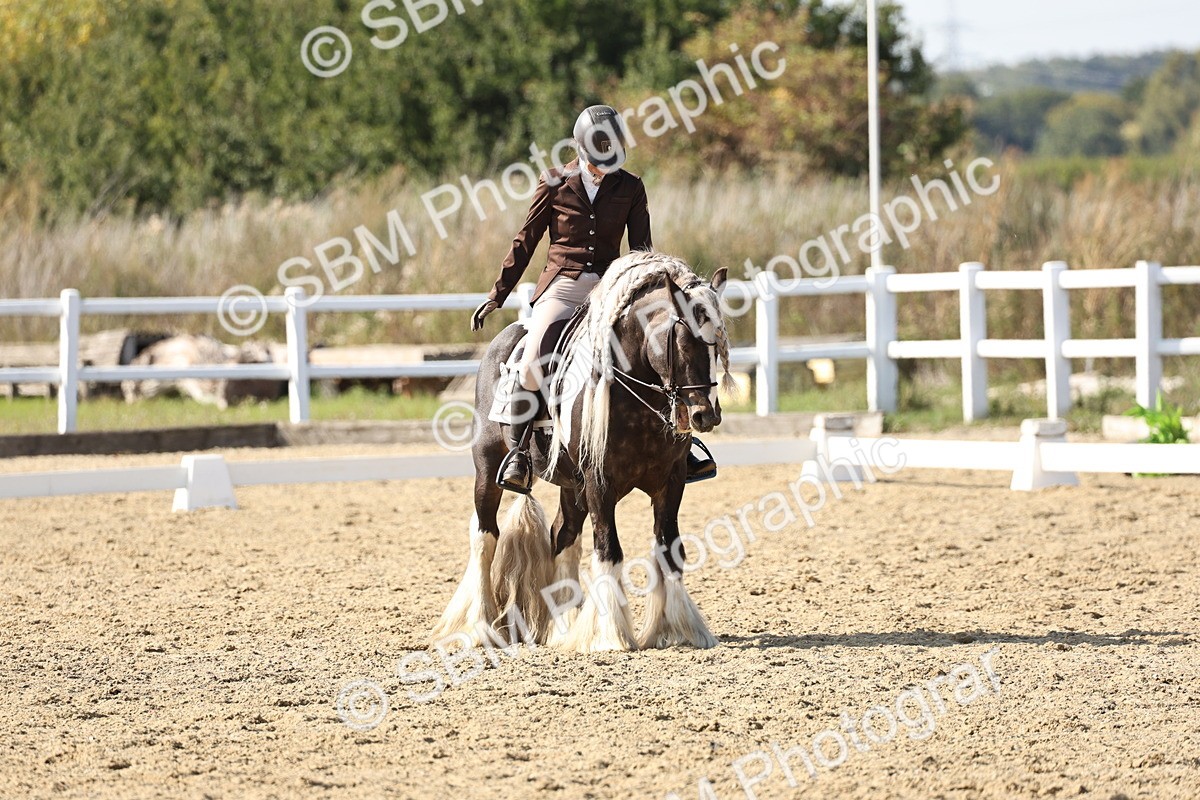 SBM_015288 - Class 9 - Advanced medium 3