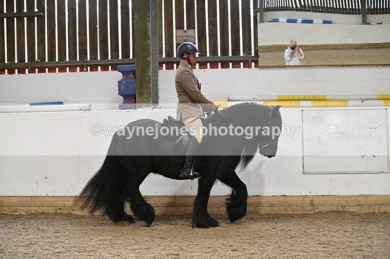 WJ7_4497 - Afternoon Champs