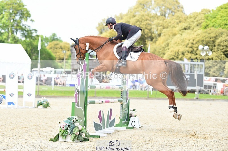 230528-153500-19101 - 181-AMIRO_ISLAND-Harry_Meade-SUNTrotUp+SJ