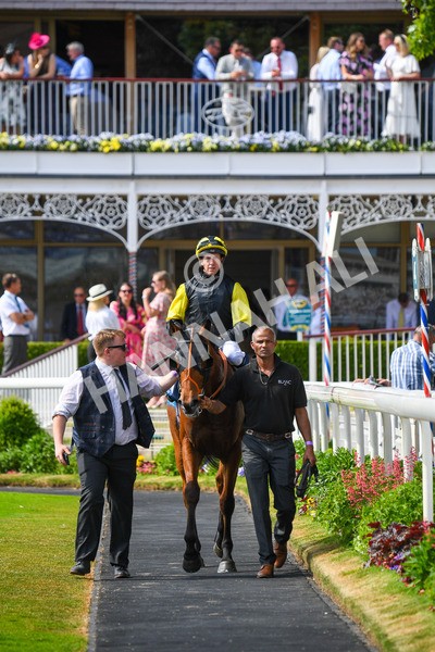 270523-Race 5-Starnberg-0796 - Race 5 3.50pm William Hill Extra Place Races Daily Handicap
