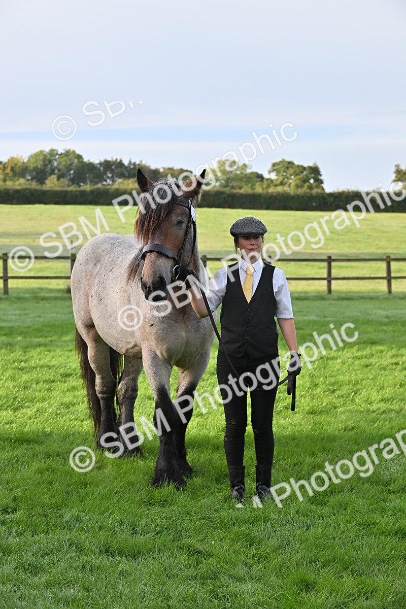 SBM_55354 - S44 - Youngstock In Hand