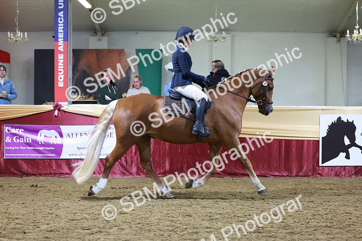 SBM_21285 - Class S - Style & Performance Champ