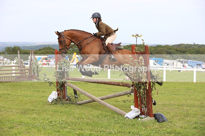 JPP_4098 - Class 24: Working Hunter 90cm