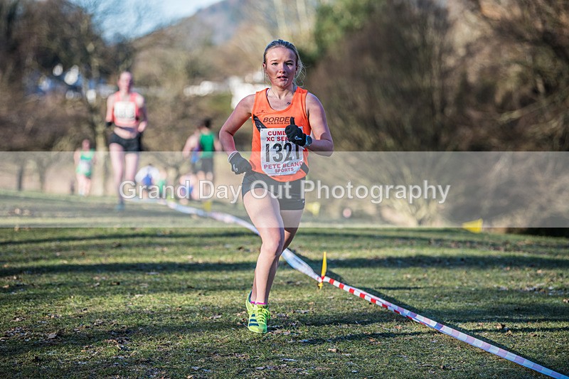 Cumbria XC-506 - Cumbria Cross Country Championships (Junior & Senior Races) Saturday 3rd January 2026