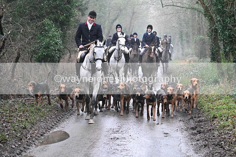 WJ7_3824 - In-between lines