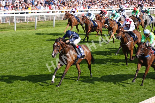yr09072022r7-22 - Race 7 5.15pm John Smith's Sprint Stakes