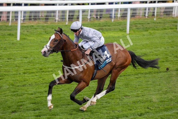 yr12052022r5-19 - Race 5 4.10pm British Stallion Studs EBF Westow Stakes