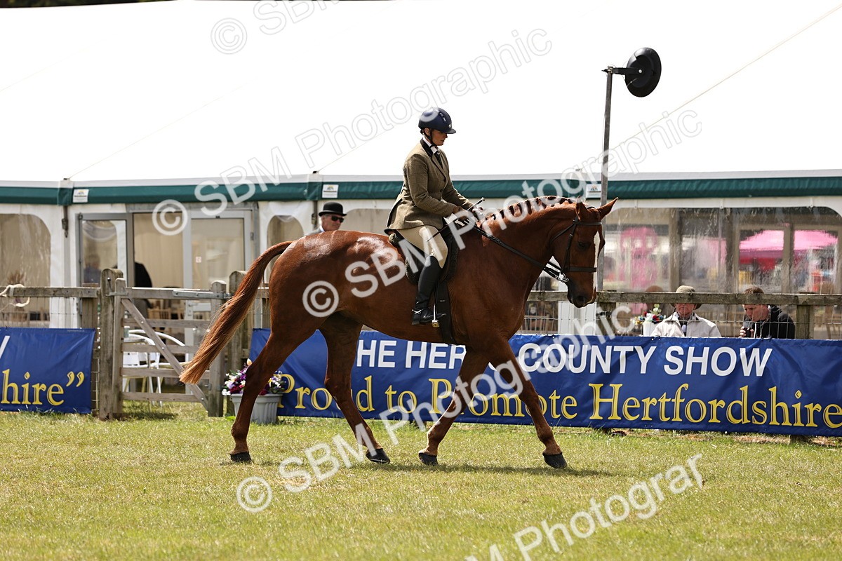 SBM_14722 - Class 88-89 - LIHS BSHA Rising Star of Ridden Hunter Type