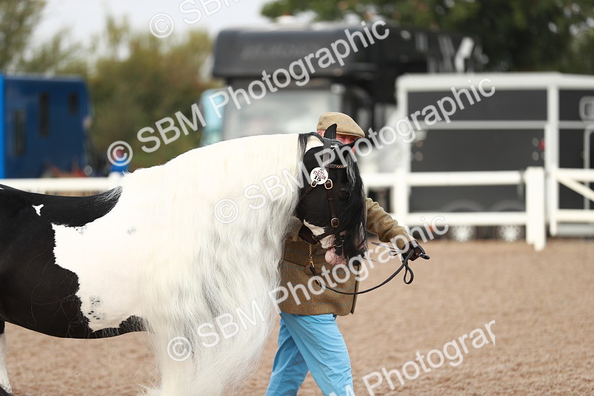 SBM_09486 - Class 201 Best Turned Out IH