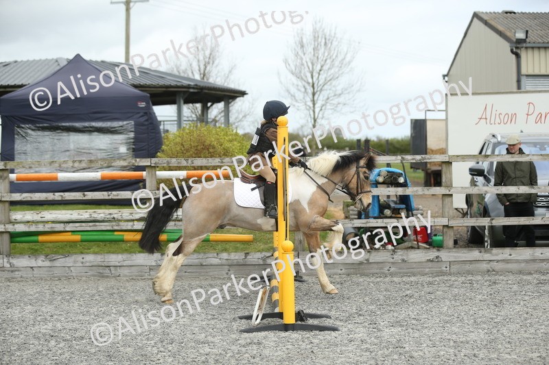 20260412-0641 - Show Jumping
