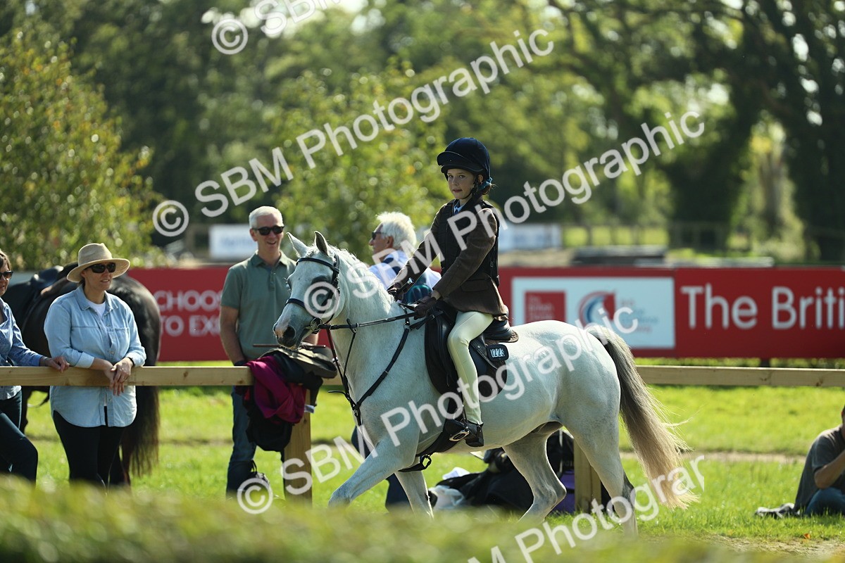 SBM_39208 - S29 - Novice & Newcomers Working Hunter Pony