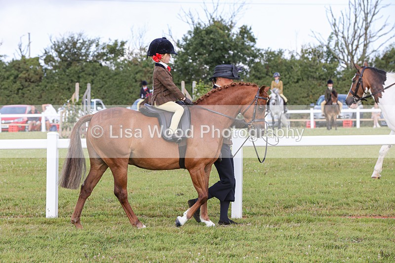 1X9A3546 - Class 29: Lead Rein SP/SHP