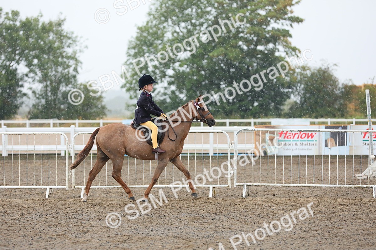 SBM_20544 - Class 804 - Ridden Veteran Pony