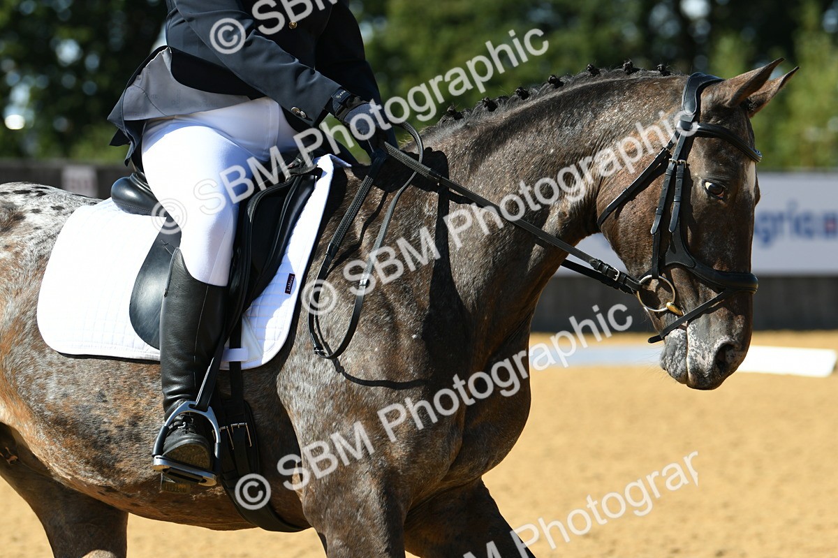 SBM_24822 - D13 - Grand Tour Championship - Prelim 12