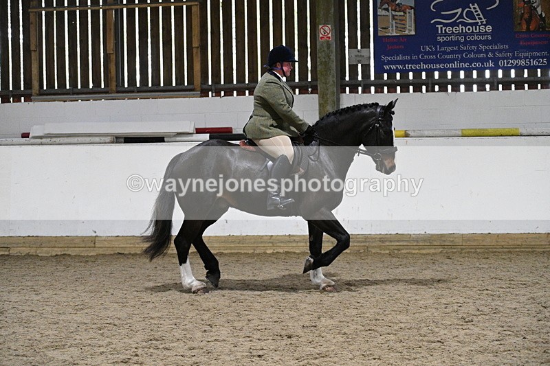 WJ7_3938 - Class 17 Ridden Cob